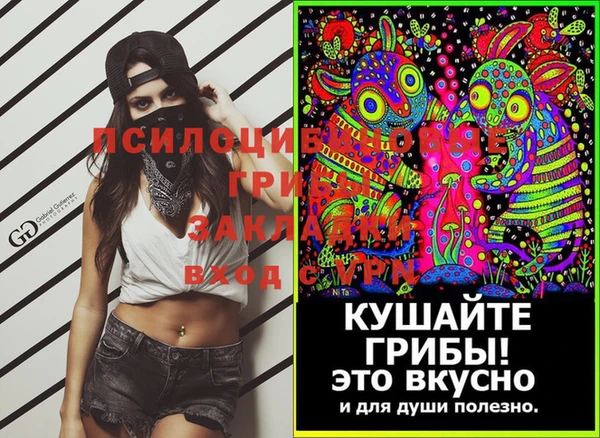 apvp Алексеевка
