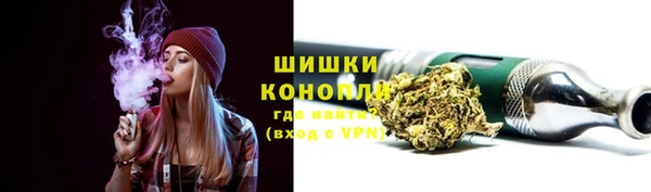 шишки Алзамай