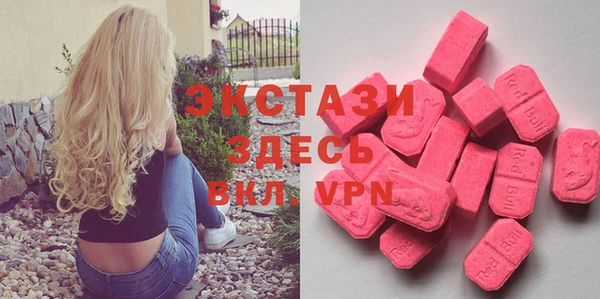 индика Пестово
